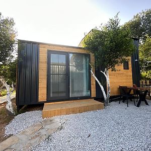 Superior Bungalow